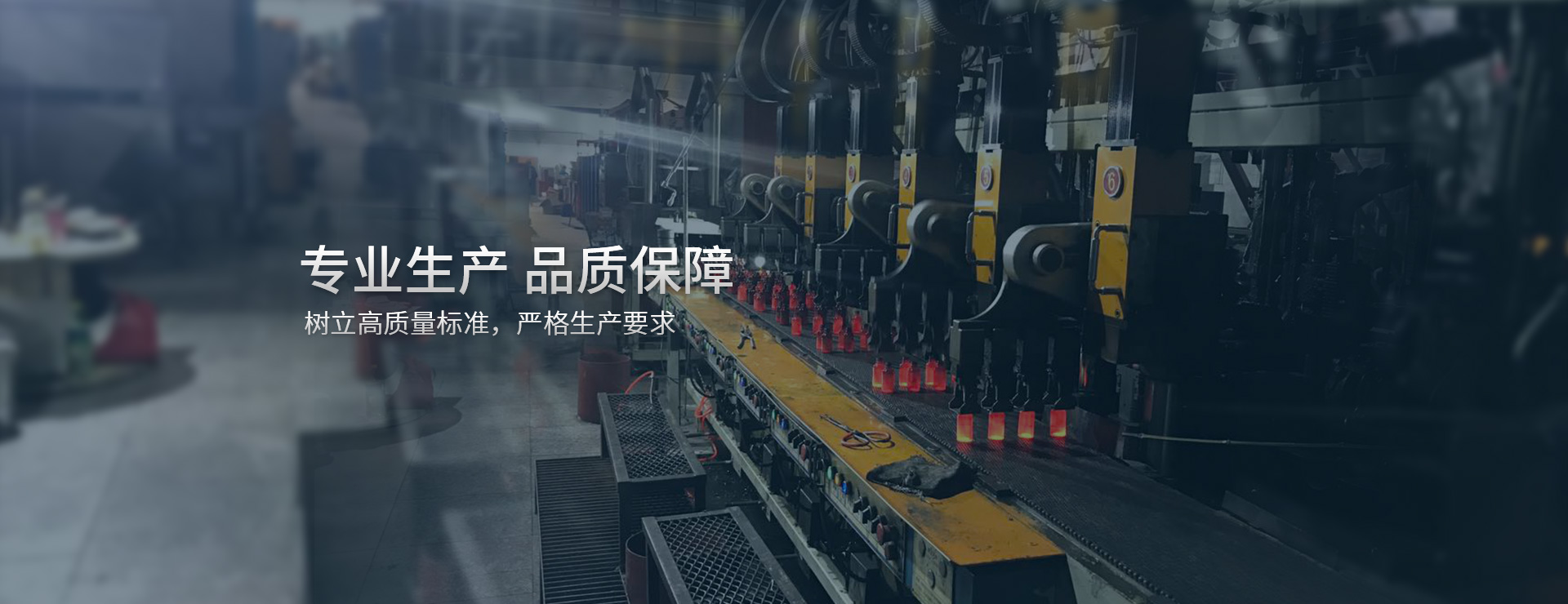 氣浮機(jī)壓濾機(jī)和地埋式生活污水處理設(shè)備生產(chǎn)專(zhuān)家